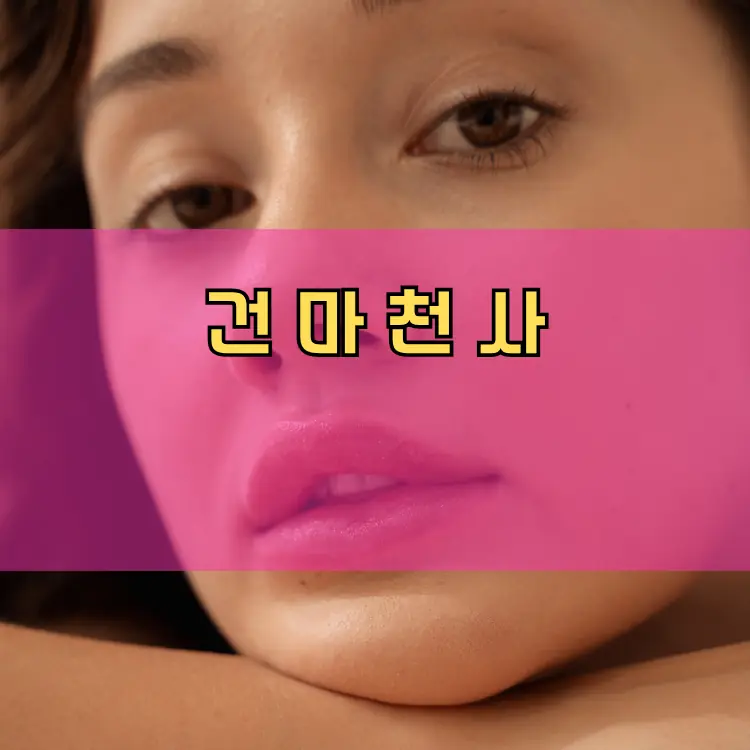 서울 도봉구 행정동 안내
