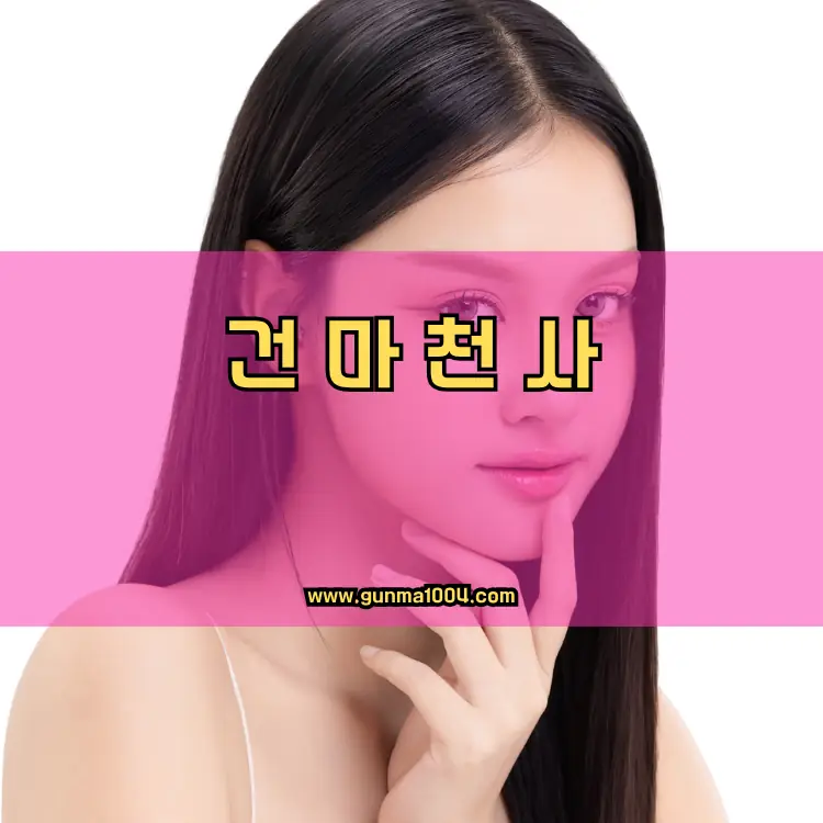 경기도 과천시 부림동 지역 안내