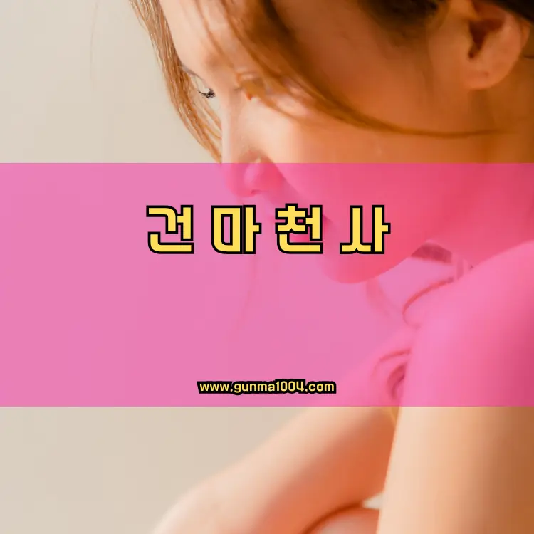 경기도 과천시 별양동 지역 안내