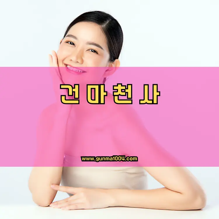 경기도 과천시 갈현동 지역 안내