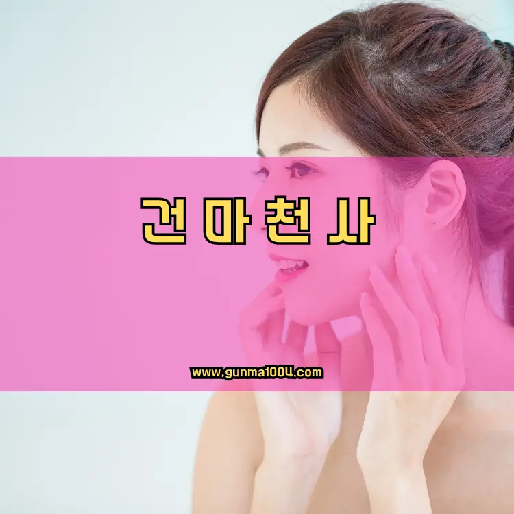 경기도 과천시 과천동 지역 안내