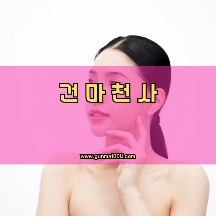 경기도 과천시 중앙동 지역 안내