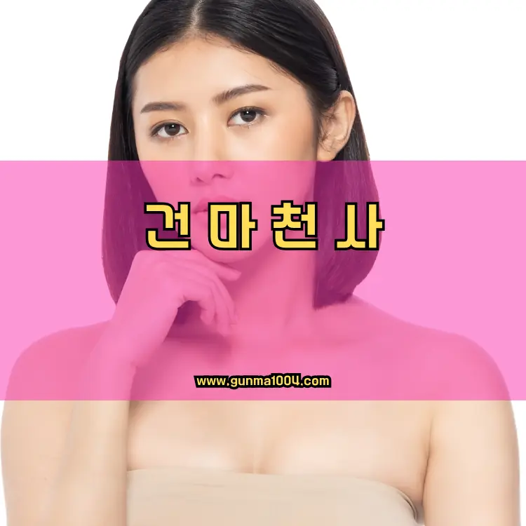 경기도 과천시 문원동 지역 안내