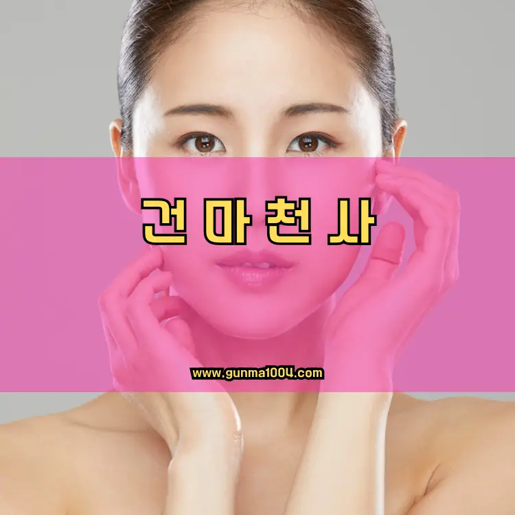 경기도 과천시 원문동 지역 안내
